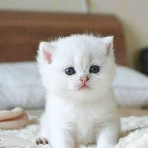 Meet your Posher, Ana